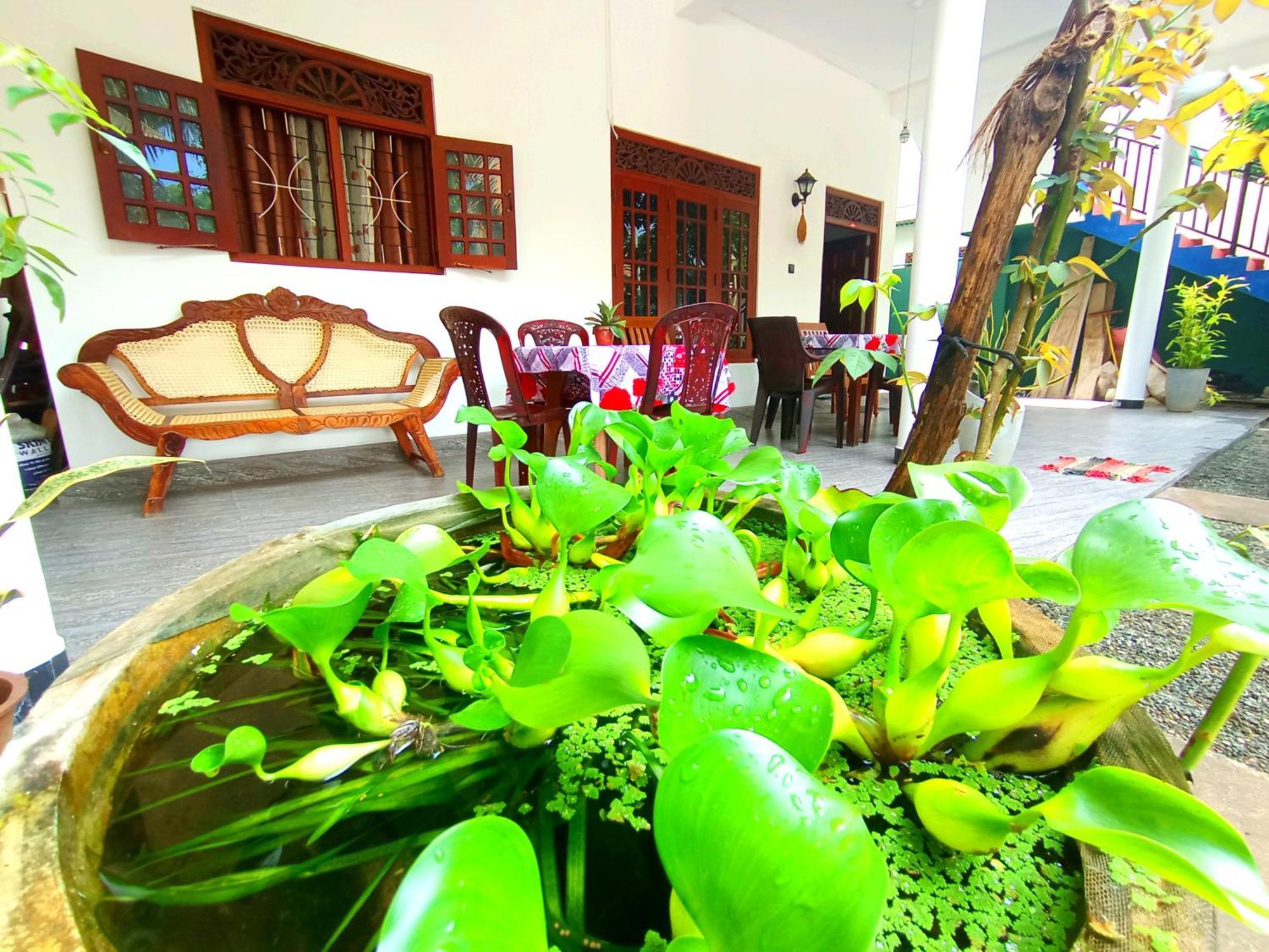 Amal Guest House Mirissa Zewnętrze zdjęcie